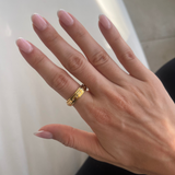 Gåvoset med 3 ringar - Guld