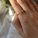 Ella's spinning ring